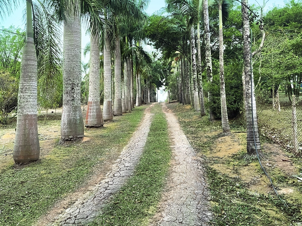 Sitio Atibaia entrada