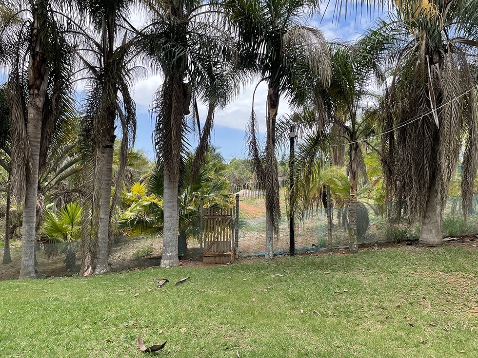 Sitio Atibaia portao fundo