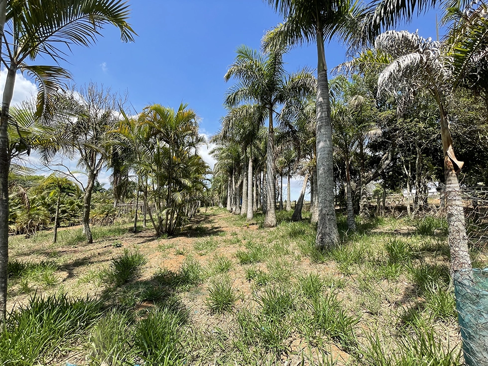 Sitio Atibaia terreno de tras