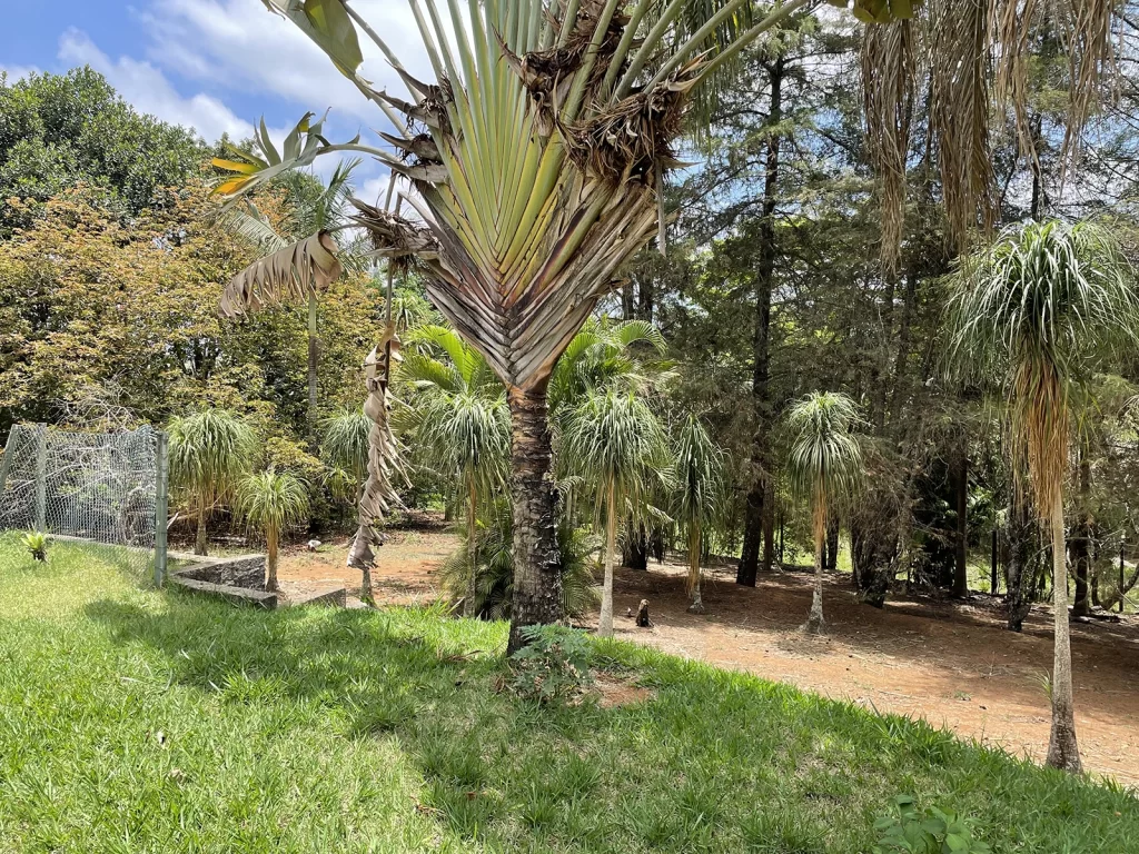 entrada-sitio-atibar